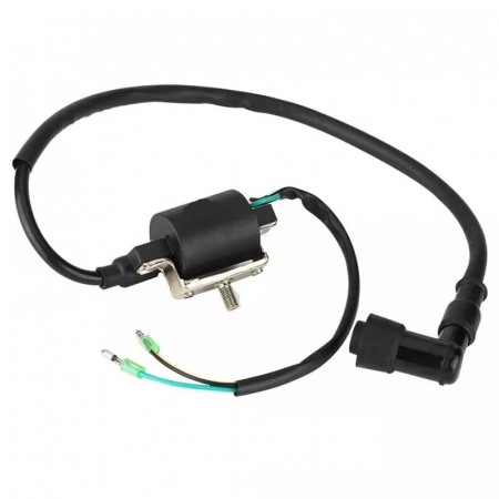 Bobina Inductie ATV - Bobina Inductie ATV Bashan 50cc 70cc 90cc - 2 fire