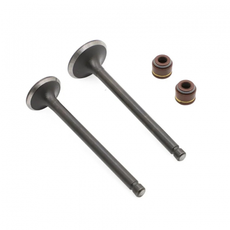 Supape Scuter - Supape Scuter Chinezesc Gy6 4T 49cc - 60cc - 80cc