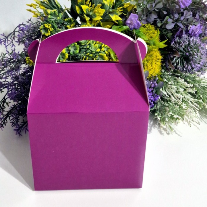 Cutie din carton mov cu maner [2]