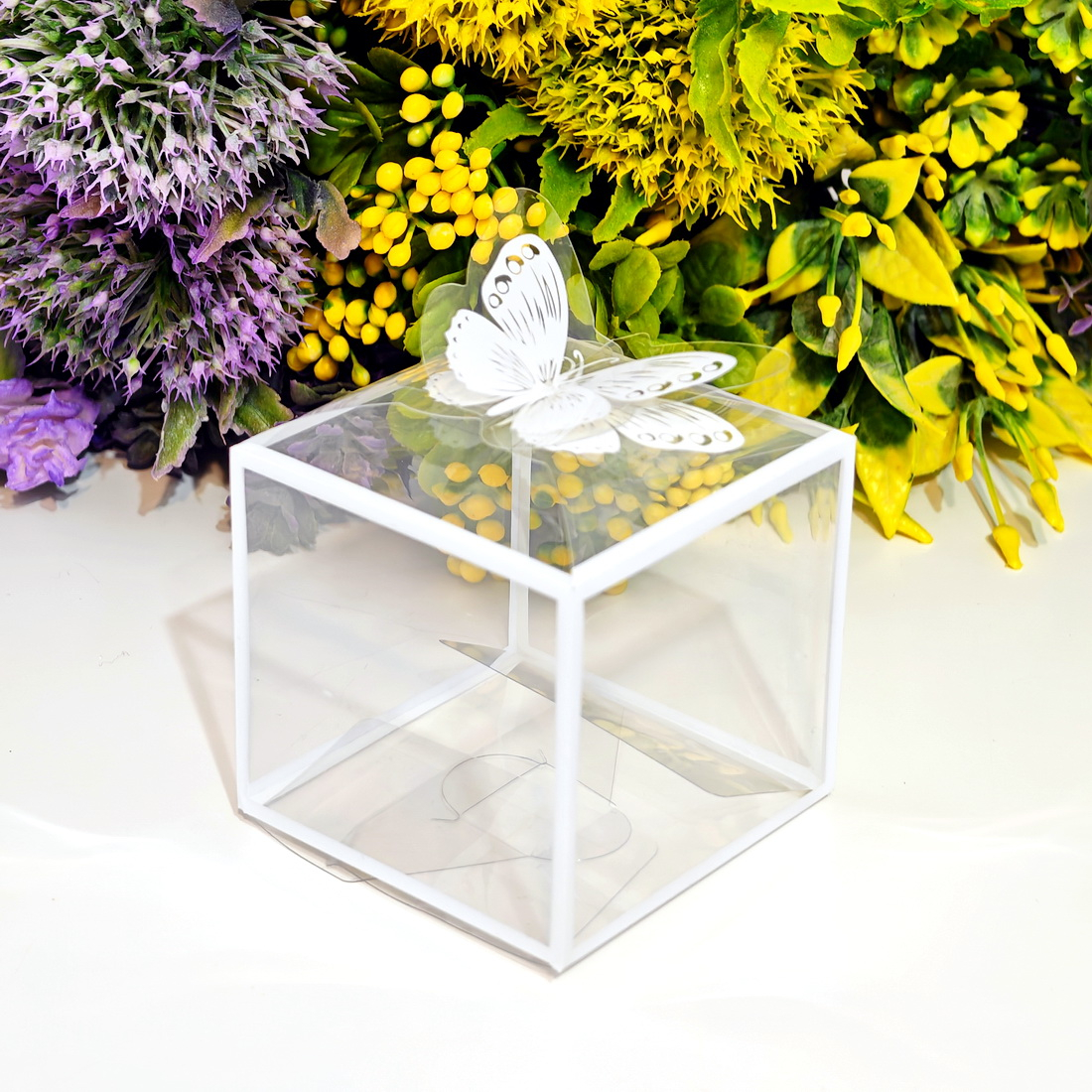 Cutie din plastic transparent 9cm x 9cm x 10cm [8]