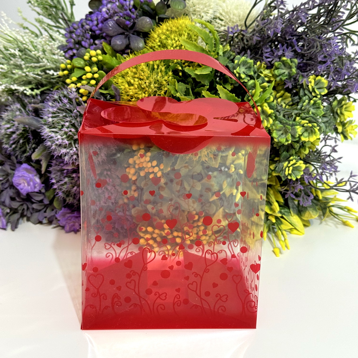 Cutie din plastic transparent cu model inimi si maner rosu 14cm x 12cm x 8cm [5]