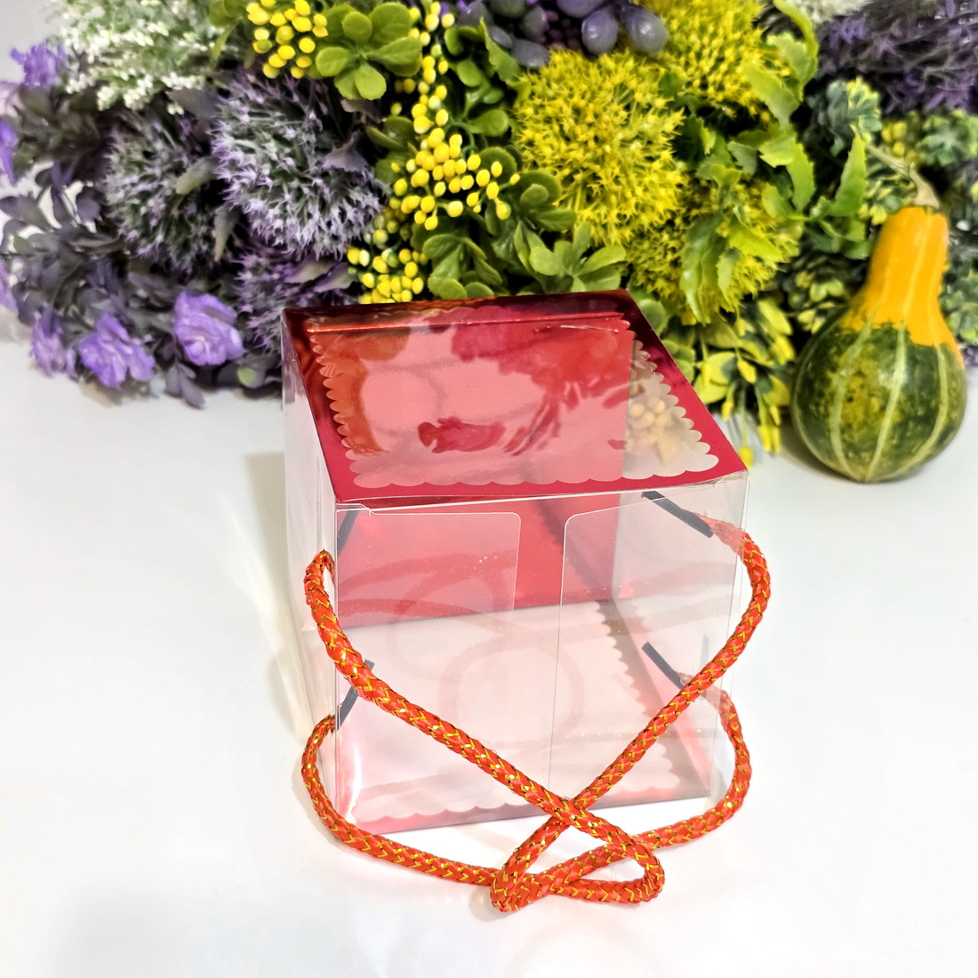 Cutie din plastic transparent cu manere din snur rosu 10cm x 10cm x 11 cm [7]