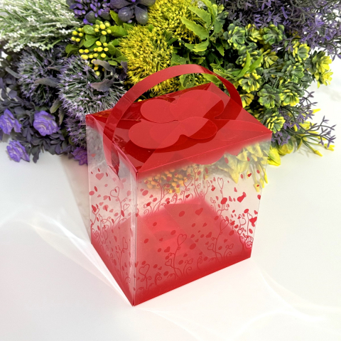 Cutie din plastic transparent cu model inimi si maner rosu 14cm x 12cm x 8cm [2]