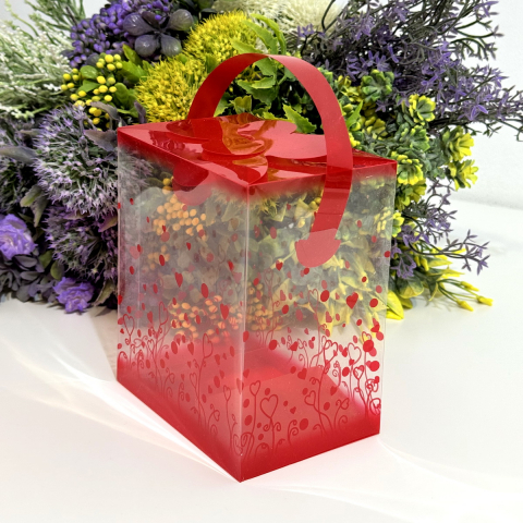 Cutie din plastic transparent cu model inimi si maner rosu 14cm x 12cm x 8cm [6]
