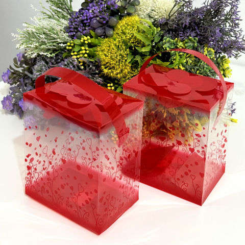 Cutie din plastic transparent cu model inimi si maner rosu 14cm x 12cm x 8cm [5]