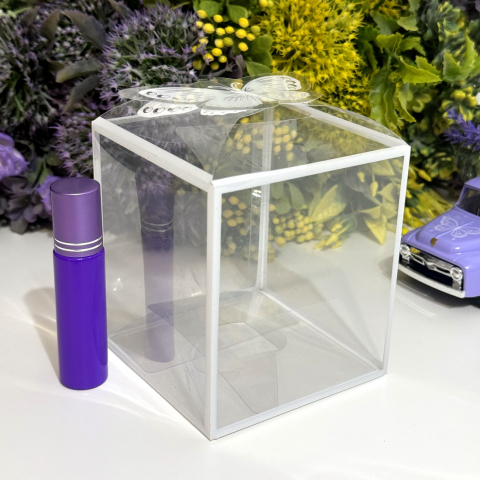 Cutie din plastic transparent 9cm x 9cm x 10cm [8]