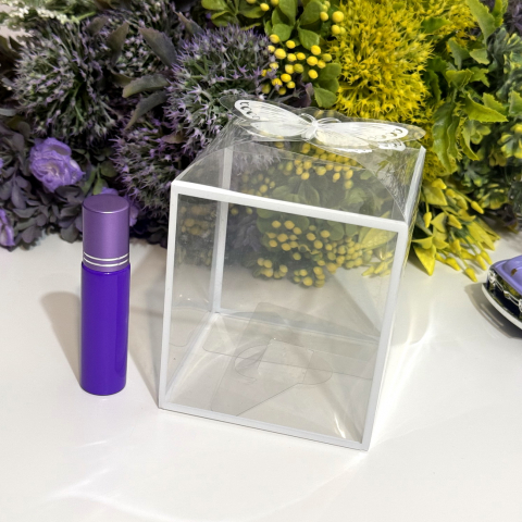 Cutie din plastic transparent 9cm x 9cm x 10cm [5]