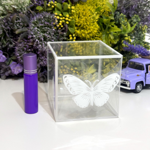 Cutie din plastic transparent 9cm x 9cm x 10cm [3]