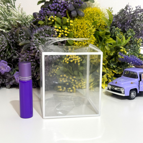 Cutie din plastic transparent 9cm x 9cm x 10cm [6]