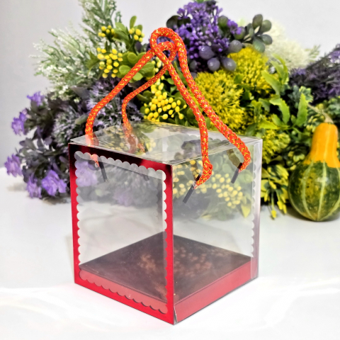 Cutie din plastic transparent cu manere din snur rosu 10cm x 10cm x 11 cm [5]