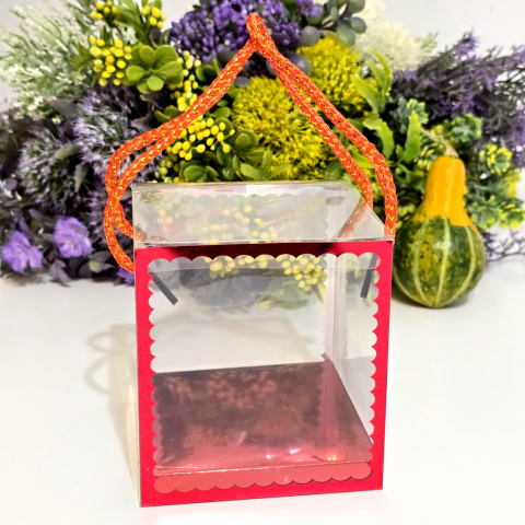 Cutie din plastic transparent cu manere din snur rosu 10cm x 10cm x 11 cm [4]