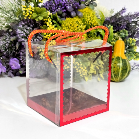 Cutie din plastic transparent cu manere din snur rosu 10cm x 10cm x 11 cm [3]