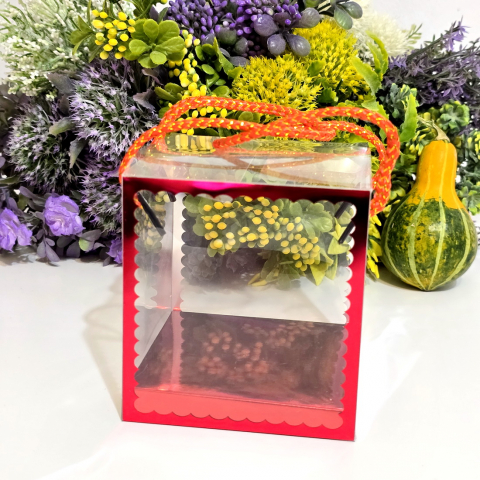 Cutii pentru cadouri - Cutie din plastic transparent cu manere din snur rosu 10cm x 10cm x 11 cm