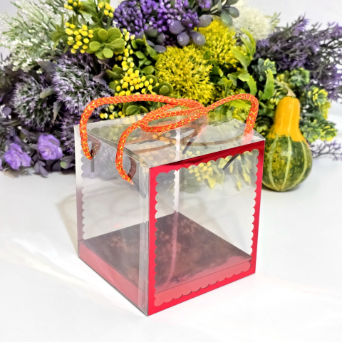Cutie din plastic transparent cu manere din snur rosu 10cm x 10cm x 11 cm [1]
