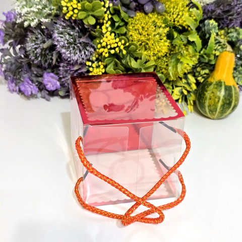 Cutie din plastic transparent cu manere din snur rosu 10cm x 10cm x 11 cm [6]