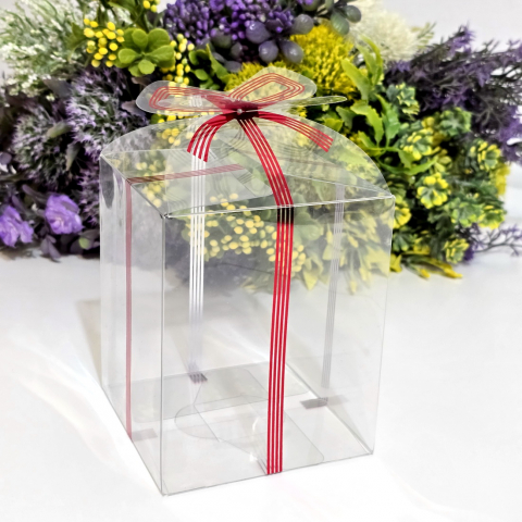Cutii pentru cadouri - Cutie dreptunghiulara din plastic cu banda rosie 10cm x 10cm x 12 cm