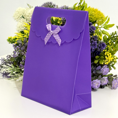Noutăți - Punga plastifiata mov cu inchidere si maner 21cm x 15.5cm