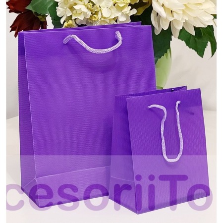 Punga plastifiata mov cu maner 22cm x 18cm [2]