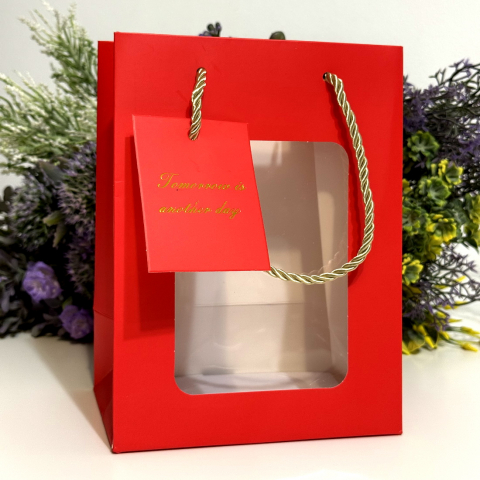 Accesorii din hartie si carton - Pungi din hartie cartonata rosie cu fereastra 20cm x 15cm x 10cm
