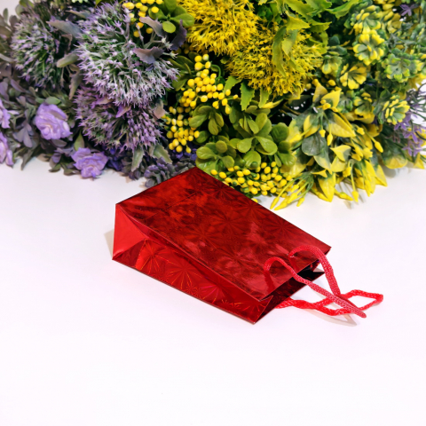 Pungi din carton lucios rosu 11cm x 9cm [4]