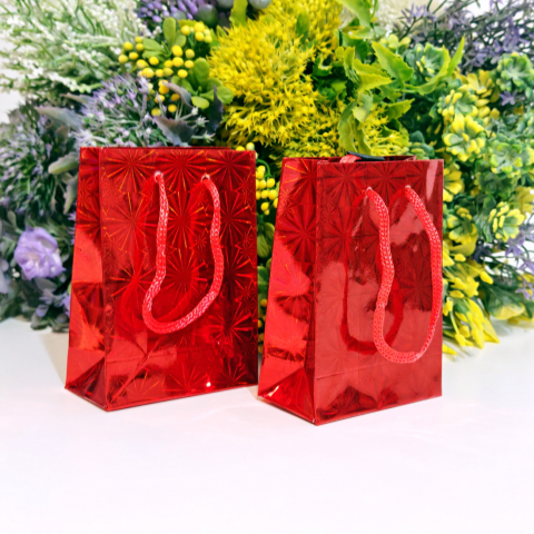 Pungi din carton lucios rosu 11cm x 9cm [6]