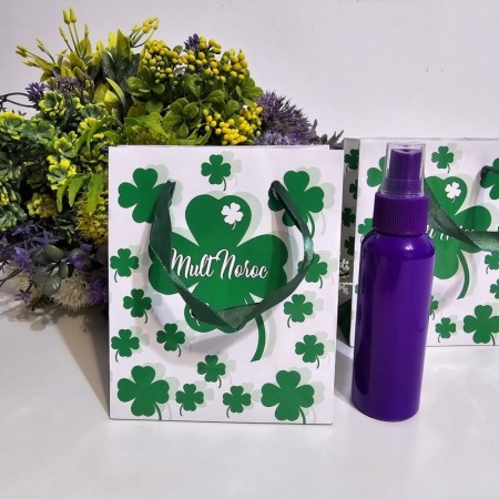 Pungi din hartie plastifiata cu trifoi Mult Noroc 14.5cm x 12cm [5]