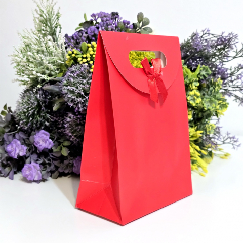 Pungi din hartie rosie cu funda 20cm x 16cm [5]