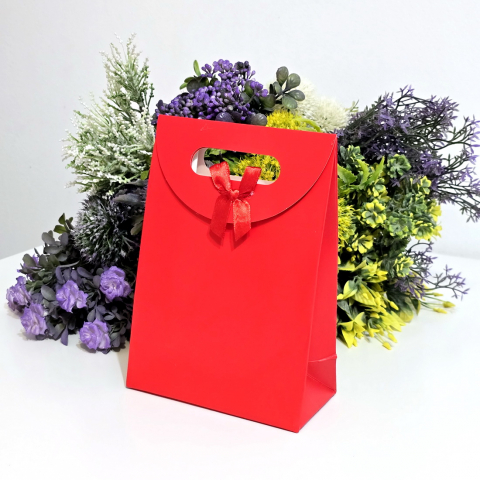 Pungi pentru cadouri - Pungi din hartie rosie cu funda 20cm x 16cm