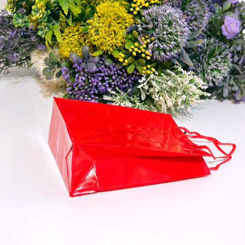 Pungi din hartie lucioasa rosie 15cm x 12cm [2]