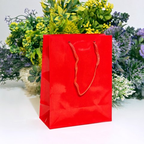 Acasa - Pungi din hartie lucioasa rosie 15cm x 12cm