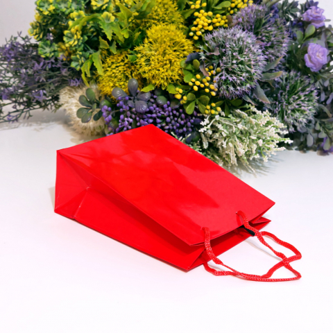 Pungi din hartie lucioasa rosie 15cm x 12cm [4]