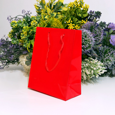 Pungi din hartie lucioasa rosie 15cm x 12cm [5]