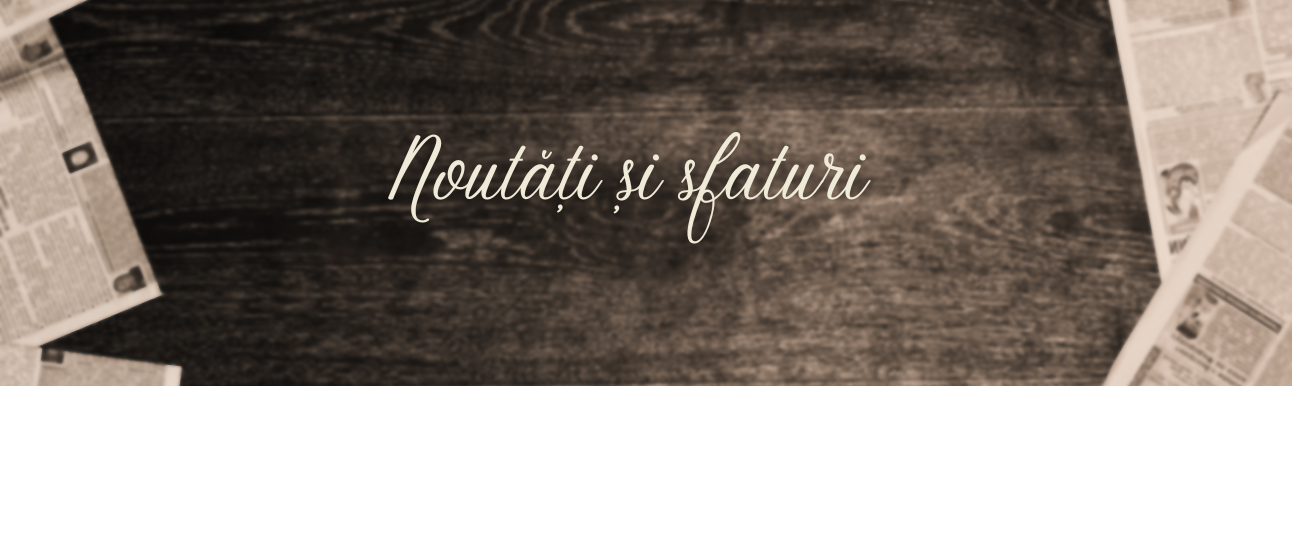 Descoperă Ghidul Tău Expert pentru Acoperiș și Mansardă