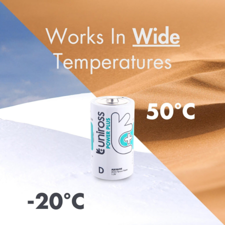 UALKDPP2 Baterii Uniross Baterii R20 Ambalate cate 2 [3]