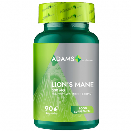 Memory - Lion`s Mane 500mg 90cps, Adams Supplements