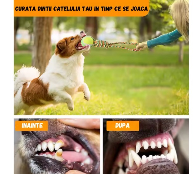 Jucărie de mestecat pentru curățarea dinților, ADLUMUS cu o minge cu funii înnodate din bumbac non-toxic pentru animalute de companie, catei si pisici [5]