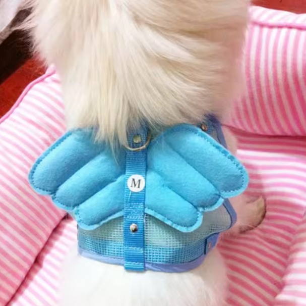 Set format din ham si lesa, ADLUMUS pentru plimbatul animalutelor de companie cu design adorabil de aripi de inger [2]