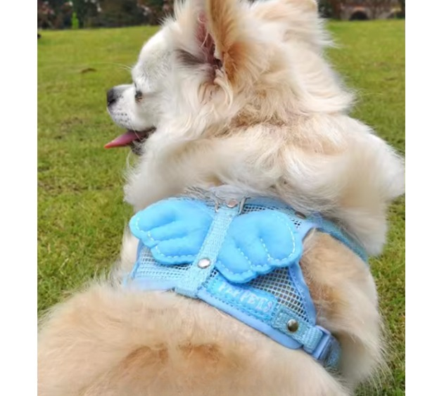 Set format din ham si lesa, ADLUMUS pentru plimbatul animalutelor de companie cu design adorabil de aripi de inger [4]