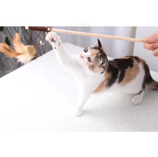 Undita de jucarie amuzanta ADLUMUS pentru animale de companie cu pene si clopotel si forma de soricel sau mingie [3]