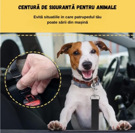 Centuri de siguranță, ADLUMUS pentru siguranța condusului in mașină alaturi de animalutele de companie, câini si pisici, [6]