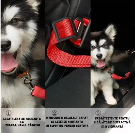 Centuri de siguranță, ADLUMUS pentru siguranța condusului in mașină alaturi de animalutele de companie, câini si pisici, [5]