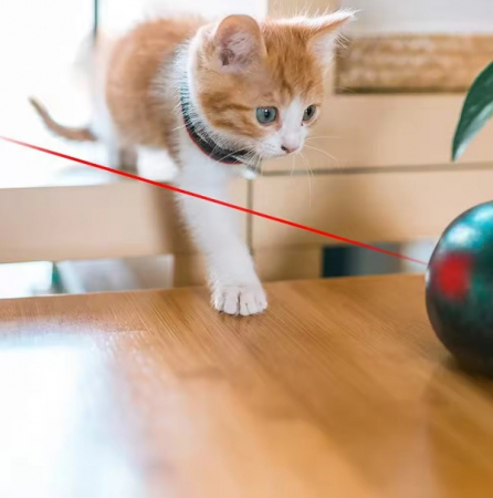 Laser pentru pisici, ADLUMUS cu 5 moduri de proiecție si design in forma de: punct roșu, șoricel, fluture, față zâmbitoare si stea. [3]