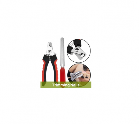 Set cu Hamac de marimea M pentru ingrijirea animalelor de companie ADLUMUS cu pila, cleste pentru gheare, perie, pieptan pentru descalcit parul si periuta de dinti din silicon [1]