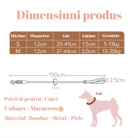 Set 2 piese, Zgarda reglabila si Lesa cu maner din piele rezistent [4]