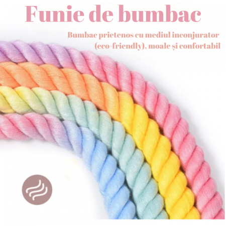 Set 2 piese, Zgarda reglabila si Lesa cu maner din piele rezistent [11]