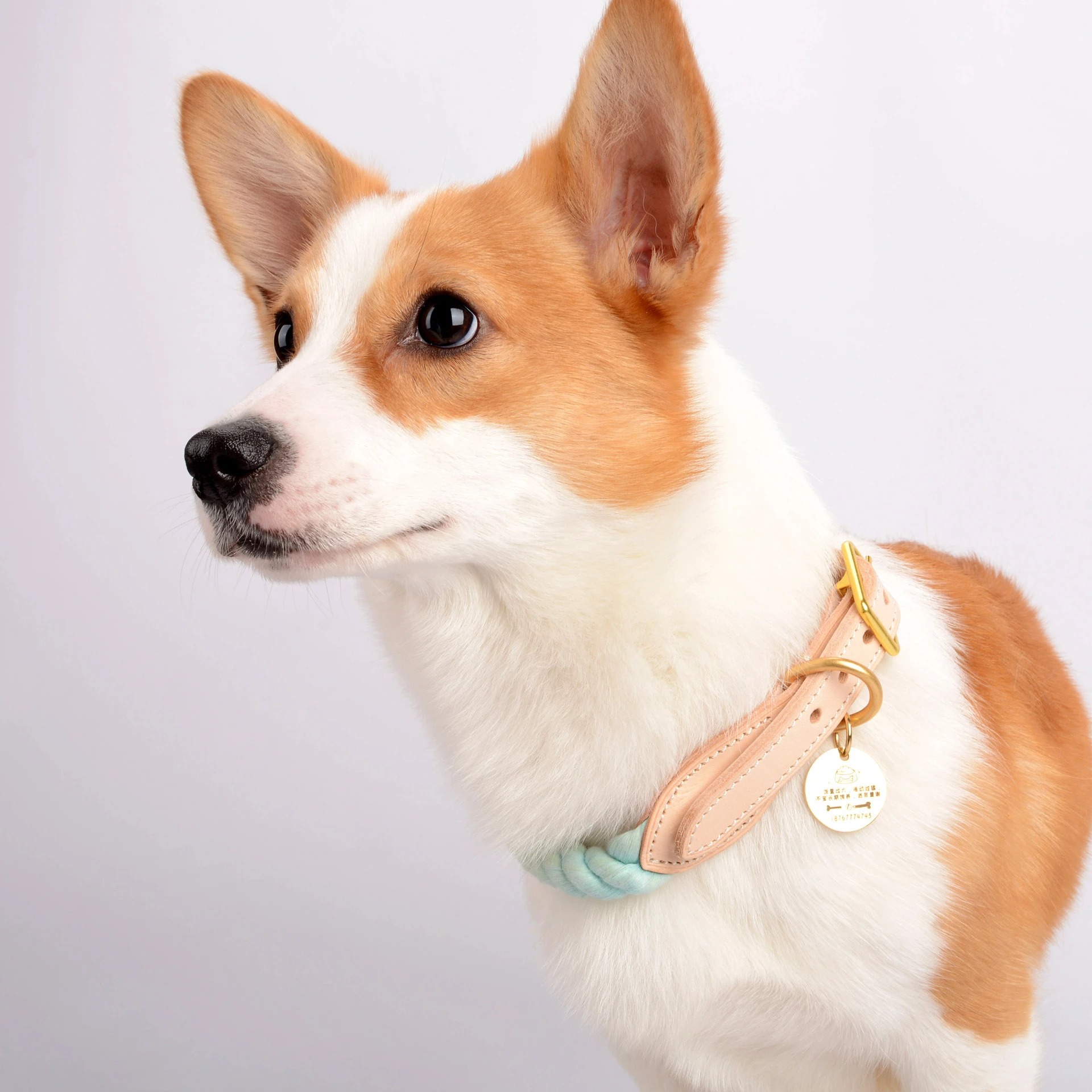 Set 2 piese, Zgarda reglabila si Lesa cu maner din piele rezistent [5]