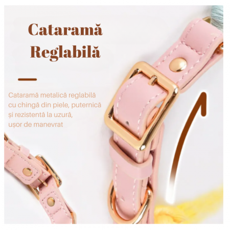 Set 2 piese, Zgarda reglabila si Lesa cu maner din piele rezistent [6]