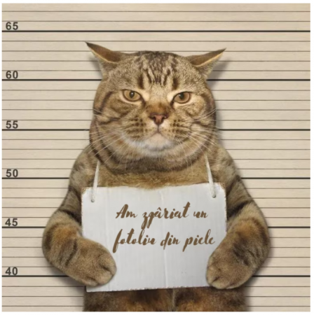 Set Folile transparente si autoadezive [5]