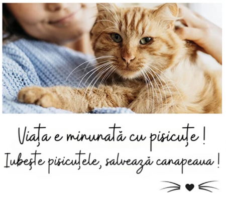 Set Folile transparente si autoadezive [6]