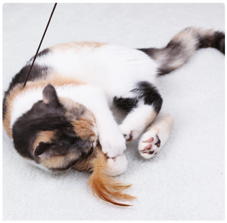 Undita de jucarie amuzanta ADLUMUS pentru animale de companie cu pene si clopotel si forma de soricel sau mingie [3]